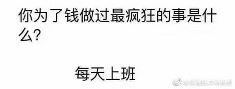 挖机届的一股清流