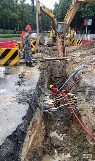 实在不行我都准备跑路了。
