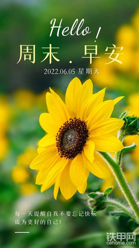 挖机届的一股清流