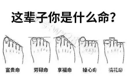 挖機屆的一股清流