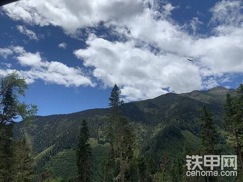 四川阿坝州金川县招聘驾驶员开2字头破碎或