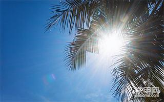 处暑不出伏，工程人该怎么做？