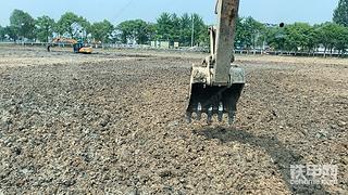 南阳市附近周边找活干