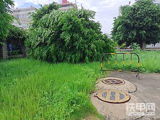 台风马鞍
