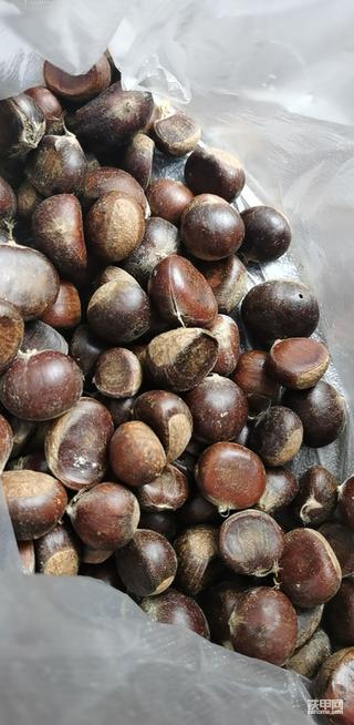 祝全球甲友中秋节快乐