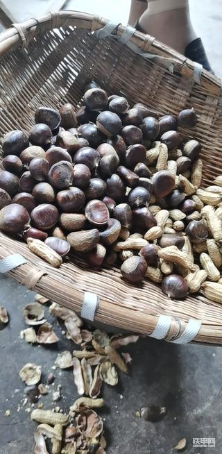 祝全球甲友中秋节快乐