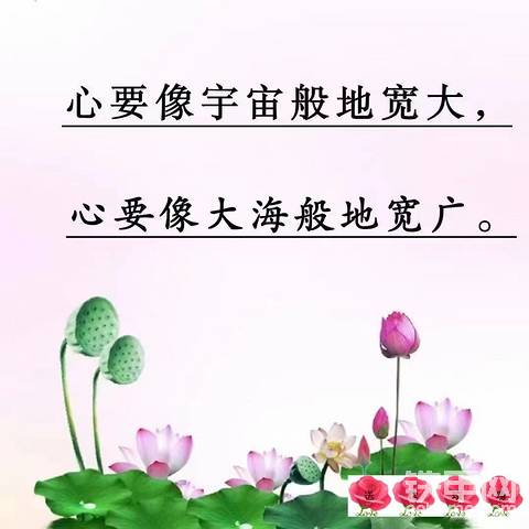 分享
