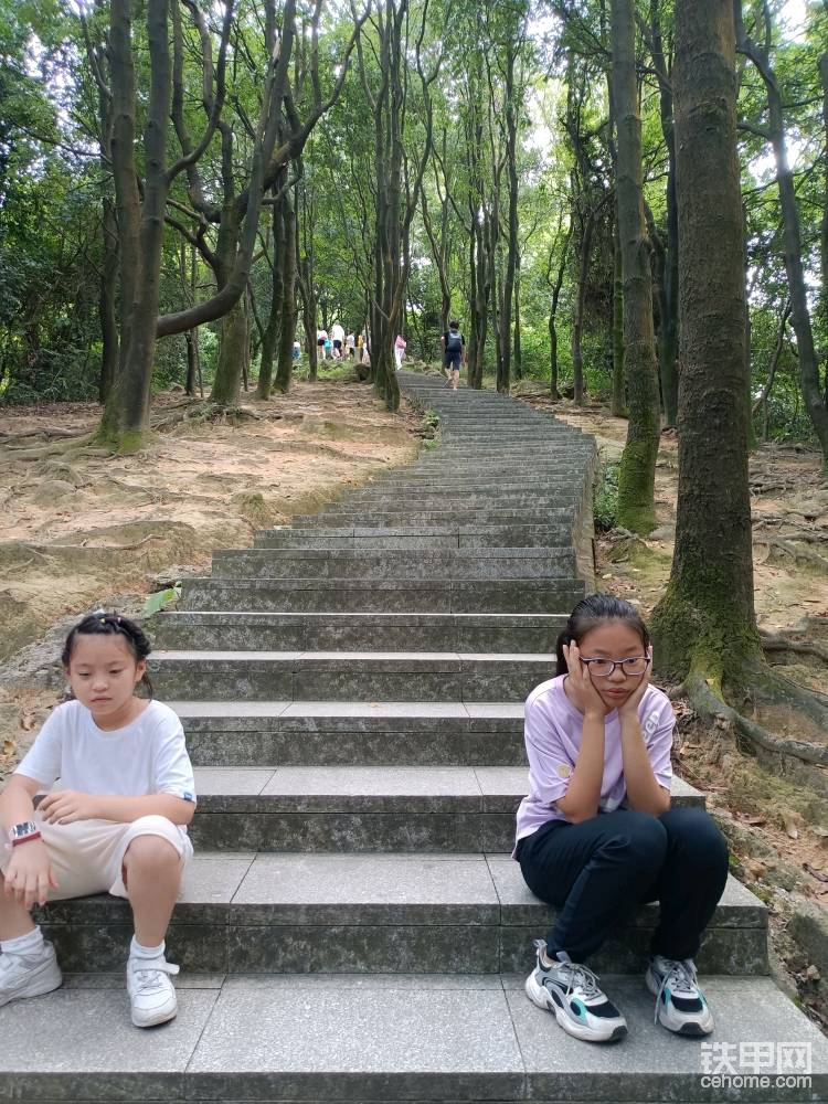 一左一右，誰家的小神獸爬累了，坐在那里一動也不想動。加油??！??