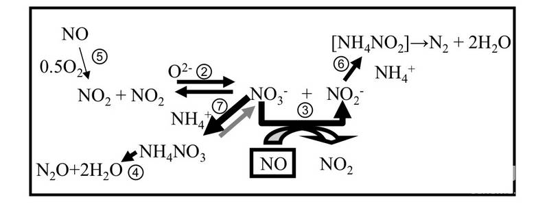 示意图：可以整不明白，但把NOx变成水和氮气这个咱得记住。