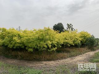 不长心的后果