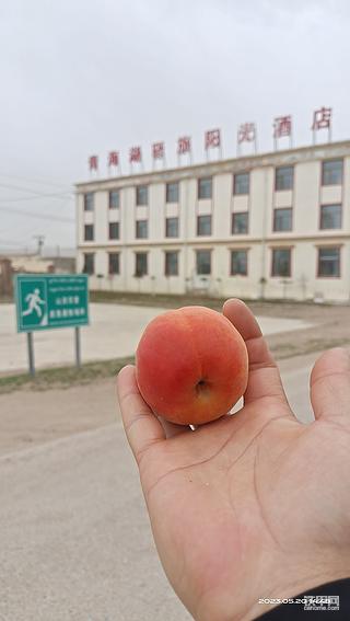 换个涂装也认识