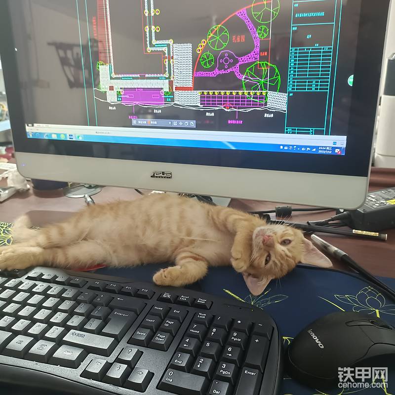 這只Cat，機(jī)型不祥，機(jī)齡四個(gè)月，是鐵甲平臺最正宗的一只Cat，全身黃色涂裝。是我們CAT機(jī)手小哥哥在外干活時(shí)撿回來的！它就喜歡呆我電腦前一起畫圖，它一定是只理工Cat!
