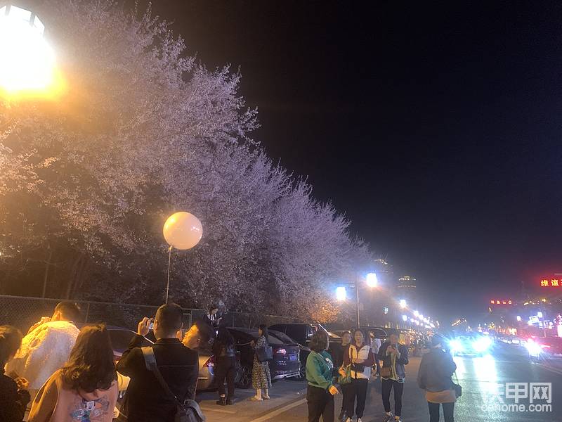 去我們這縣里網(wǎng)紅景點(diǎn)打卡了，櫻花很美，但沒有你美，終是莊周夢了蝶，你是恩賜也是劫