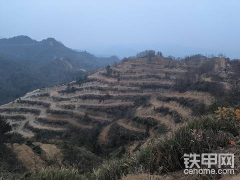 發(fā)布了一條動態(tài)