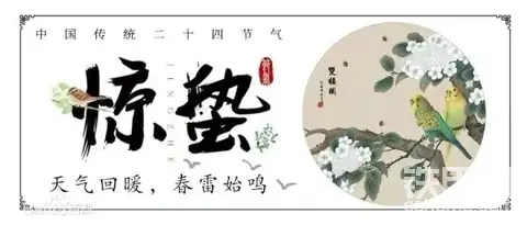 發(fā)布了一條動(dòng)態(tài)