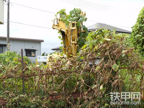 发布了一条动态