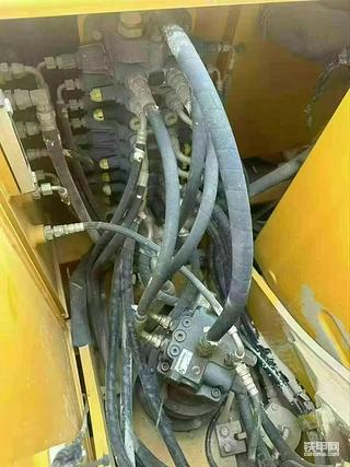 发布了一条动态