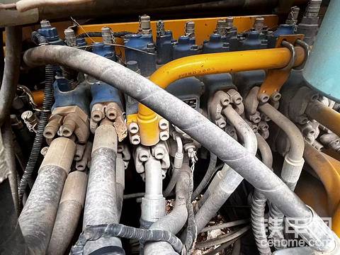 发布了一条动态