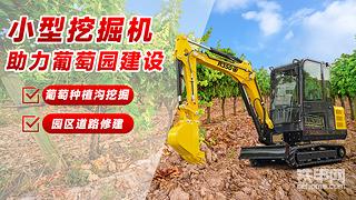 发布了一条动态