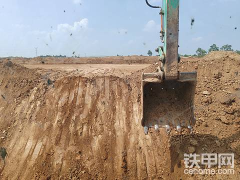 发布了一条动态
