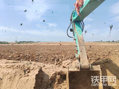 发布了一条动态