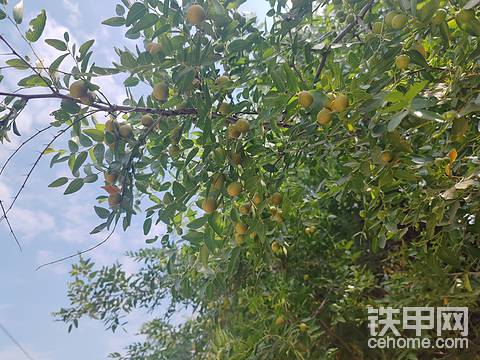 发布了一条动态