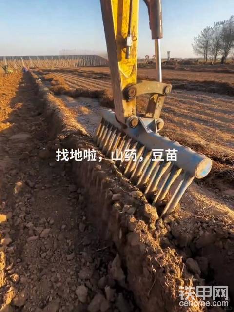 发布了一条动态