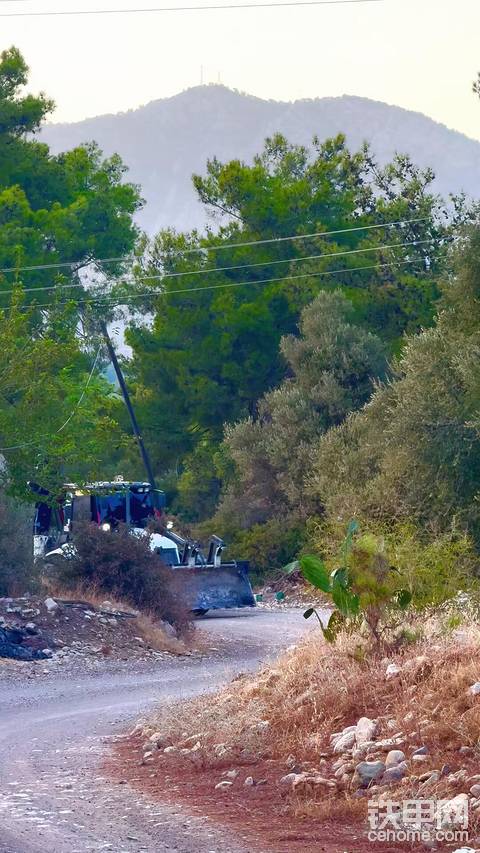 发布了一条动态