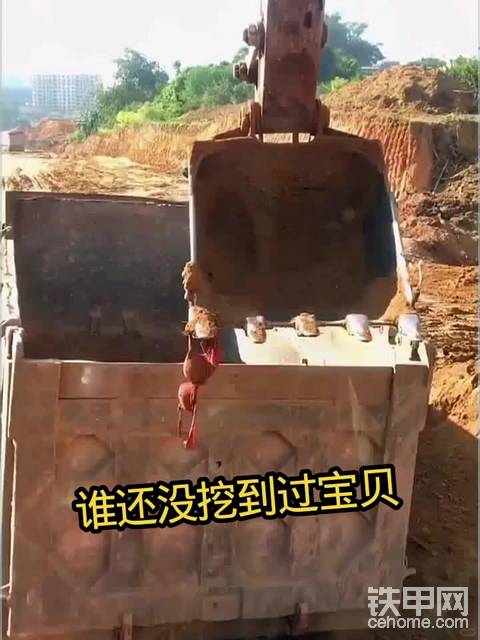 发布了一条动态