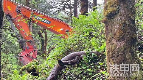 发布了一条动态