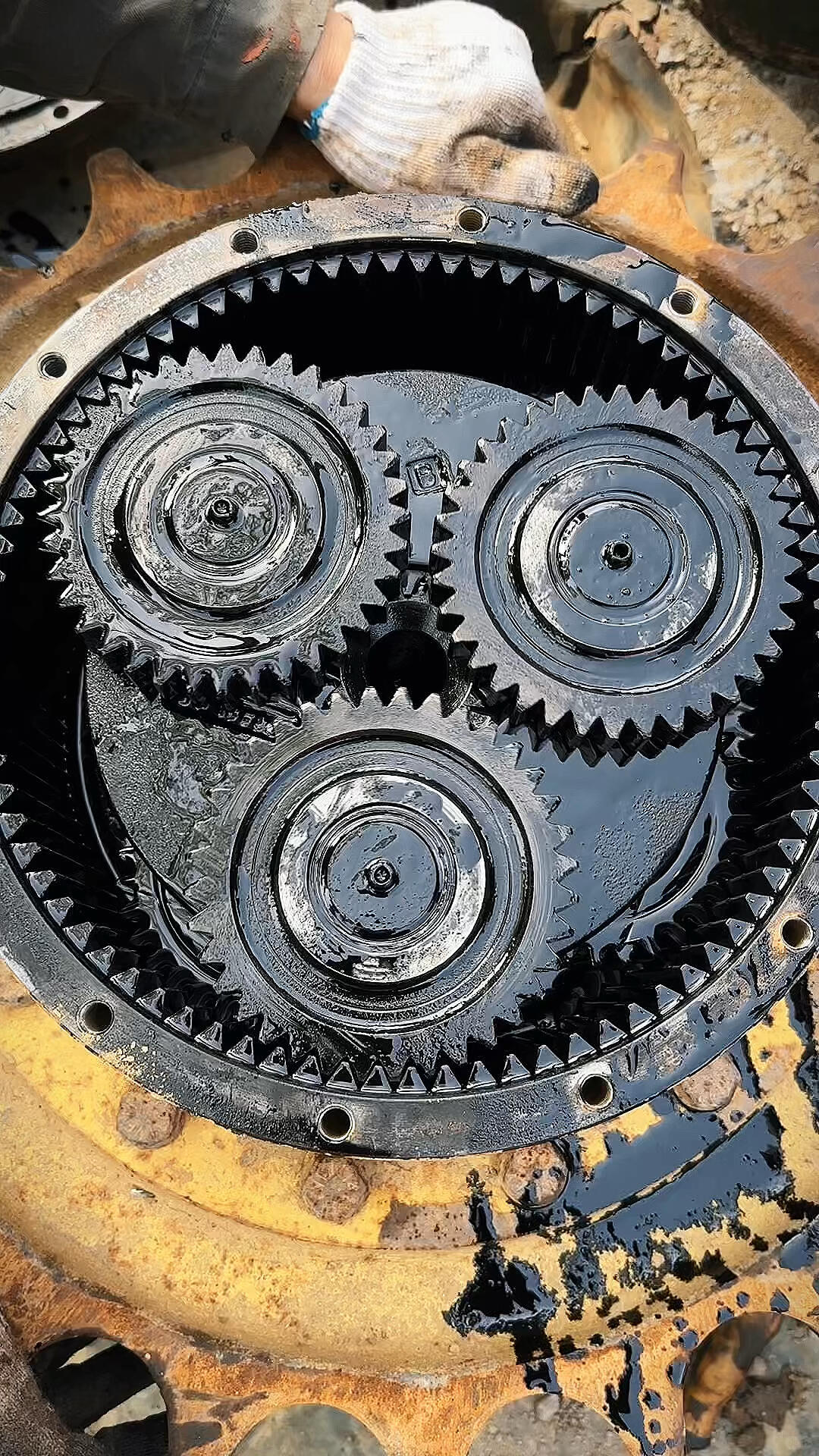 探秘行走！-帖子圖片