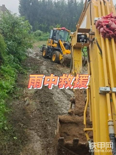发布了一条动态