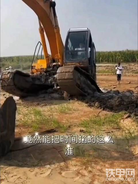 发布了一条动态