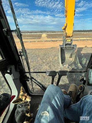 两个孤独的灵魂