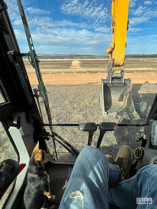 两个孤独的灵魂