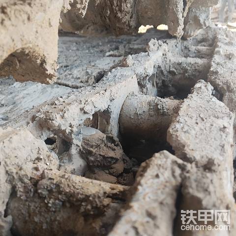 发布了一条动态