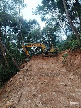 发布了一条动态