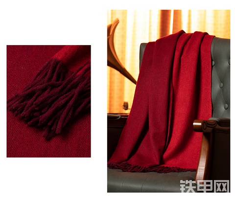 【BICES 2025】铁甲集结号吹响！发帖分享展会见闻