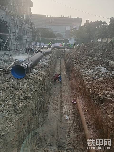 发布了一条动态