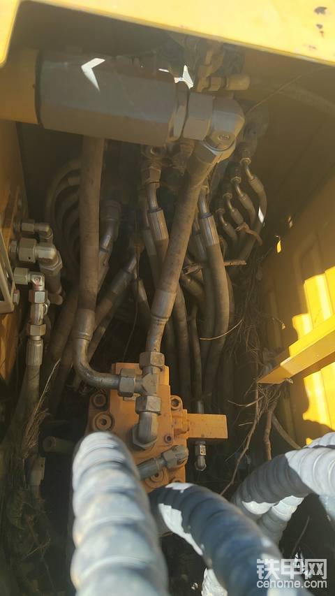 发布了一条动态