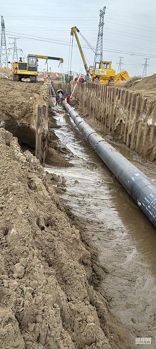 发布了一条动态