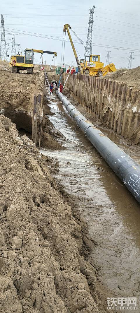 发布了一条动态