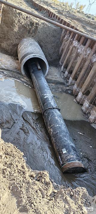 发布了一条动态