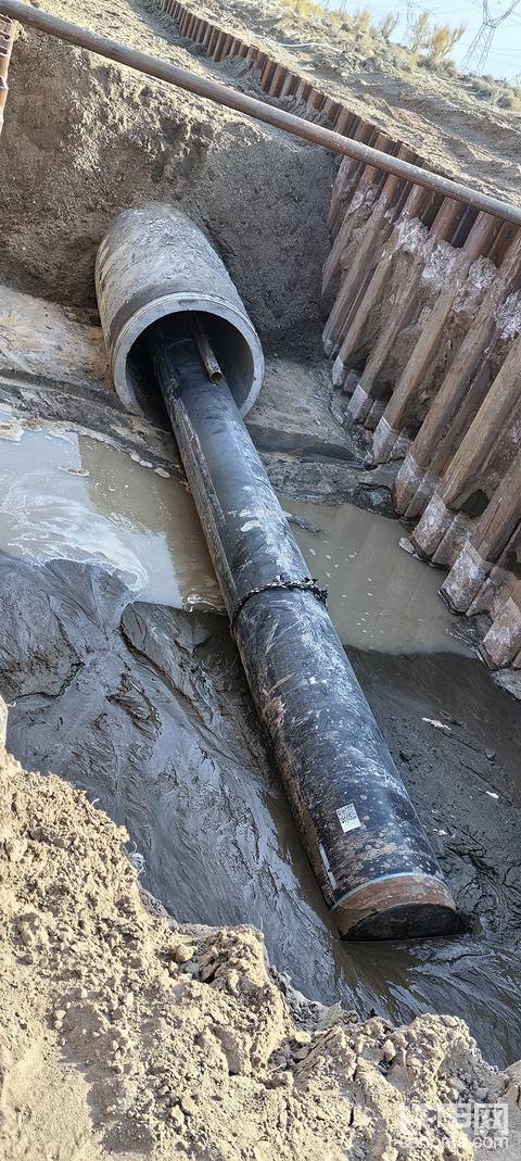 发布了一条动态