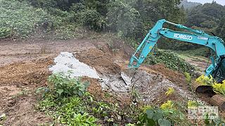 发布了一条动态