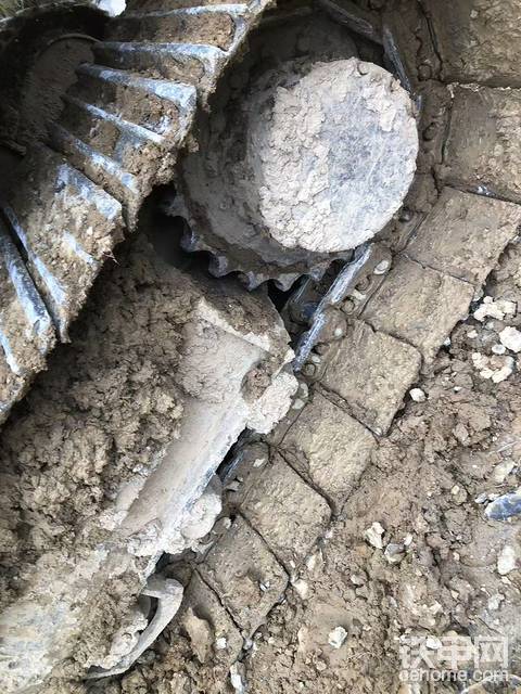 发布了一条动态