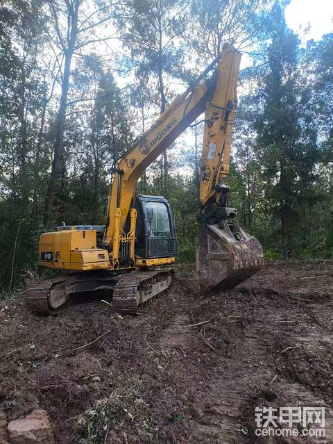 发布了一条动态