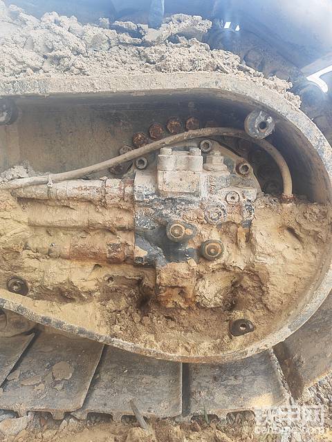 空闲时间给它洗脚，推油！