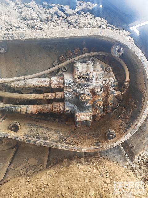 空闲时间给它洗脚，推油！