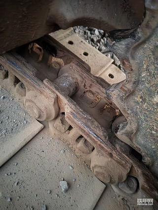 发布了一条动态